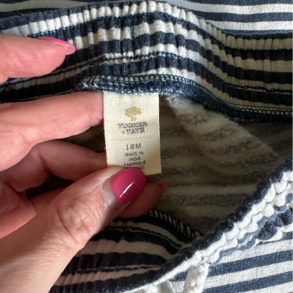 Tucker + Tate Striped Dino Sweatsuit Set - Picture 7 of 9